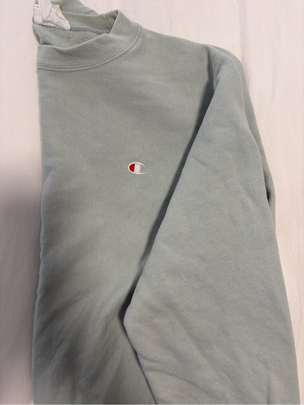 Champion Turtleneck Sweatshirt in Sage Green with Embroidered Logo